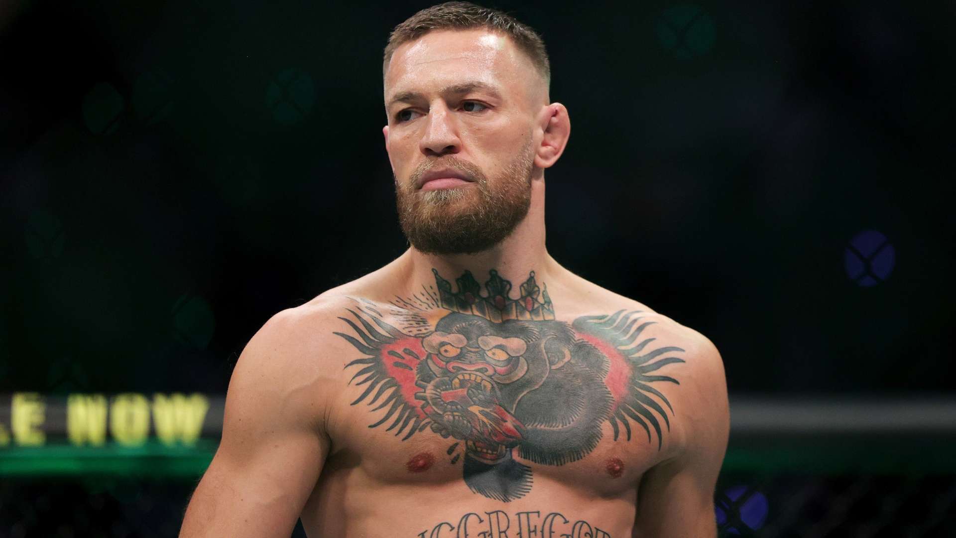 促进彼此进 促进彼此进